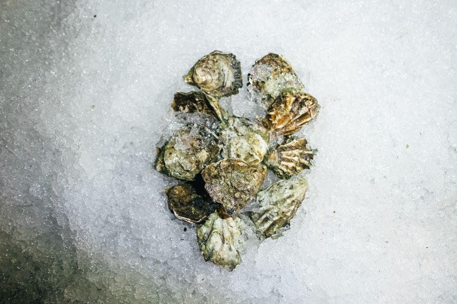 Grilled oysters for buffet