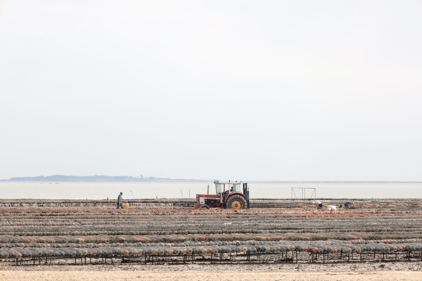 Oyster farm aerial view